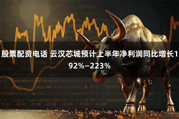 股票配资电话 云汉芯城预计上半年净利润同比增长192%—223%